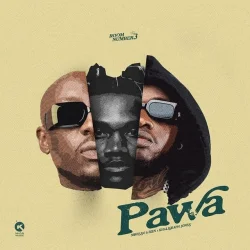Mbosso - Pawa Remix (feat. Bien & Khaligraph Jones)