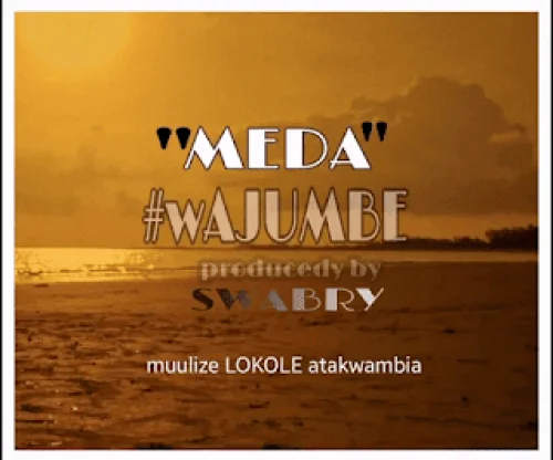 Meda - Wajumbe