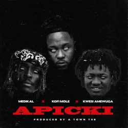 Medikal - APICKI (feat. Kofi Mole & Kwesi Amewuga)