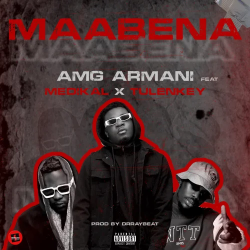 Medikal - Amg Armani (feat. Tulenkey Maabena)
