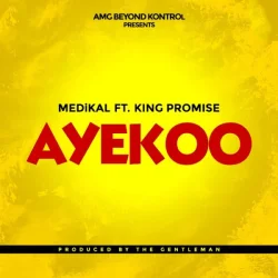 Medikal - Ayeekoo (feat. King Promise)