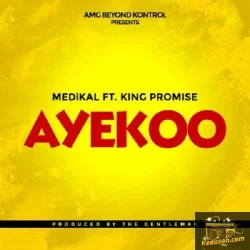 Medikal - Ayekoo
