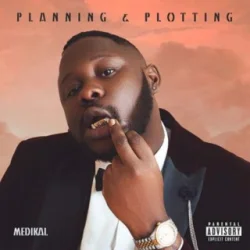Medikal - HOPE (feat. Tom D’Frick)