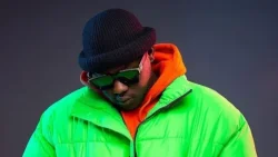 Medikal - Mass Destruction (WYFL Riddim Freestyle Cover)
