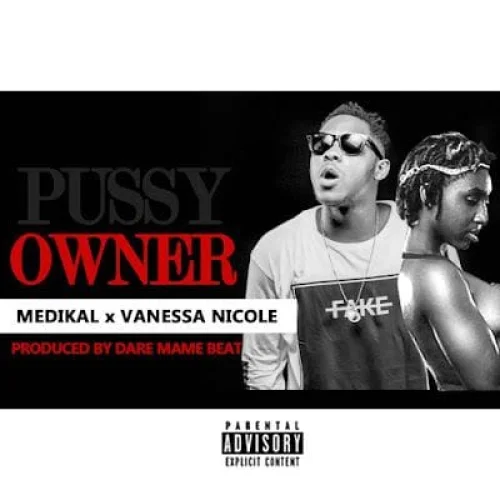 Medikal - Owner (feat. Vanessa Nicoal)