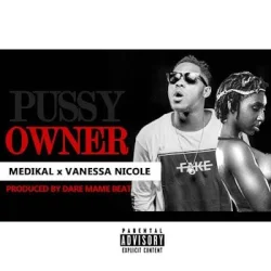 Medikal - Owner (feat. Vanessa Nicoal)