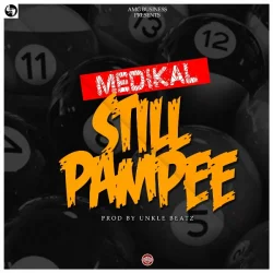 Medikal - Still Pampee