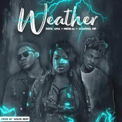 Medikal - Weather (Prod. By Willis Beatz)