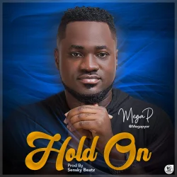 Mega P - Hold On
