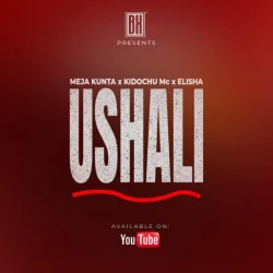 Meja Kunta Ft Kidochu Mc - Ushali (feat. Elisha)