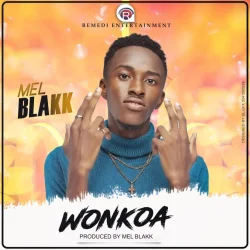 Mel Blakk - Wonkoa