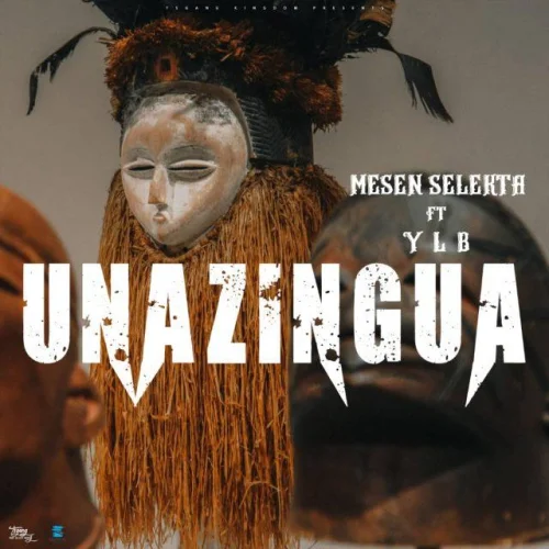 Mesen Selekta - Unazingua (feat. YLB)