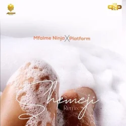 Mfalme Ninja - Shemeji Remix (feat. Platform Tz)