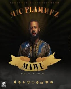 Mic Flammez - Mawu
