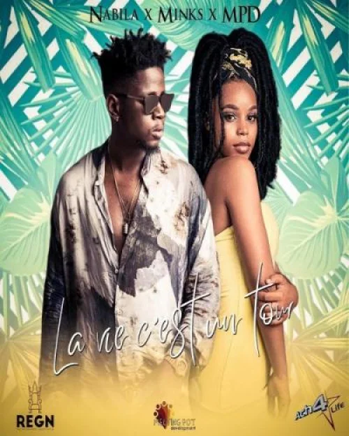 Mink's - La Vie C'est Un Tour