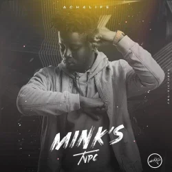 Mink's - TVPC