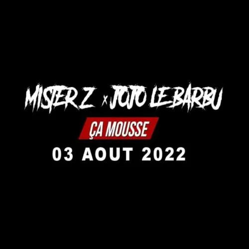 Mister Z - Ca Mousse