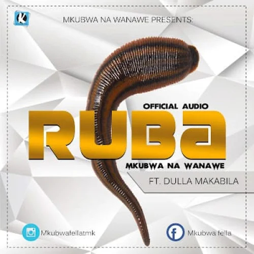 Mkubwa Na Wanawe - Ruba (feat. Dulla Makabila)