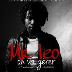 Mr.Leo - On Va Gérer