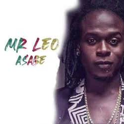 Mr. Leo - Asabe