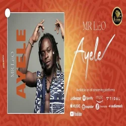 Mr. Leo - Ayele