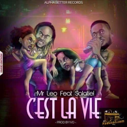 Mr. Leo - C'est la vie