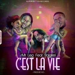 Mr. Leo - Cest La Vie (feat. Salatiel)