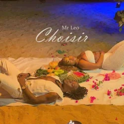 Mr. Leo - Choisir