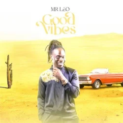 Mr. Leo - Good Vibes (2024)
