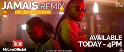 Mr. Leo - Jamais Jamais Remix (feat. Flavour)