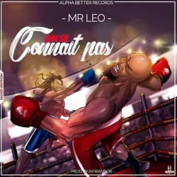 Mr. Leo - On Se Connait Pas (feat. Download Mr. Leo)