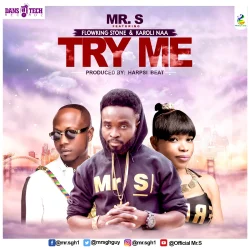 Mr. S - Karoli Naa (feat. Try Me & FlowKing Stone)