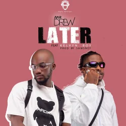 Mr Drew - Later (feat. KelvynBoy)