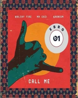 Mr Eazi - Call Me