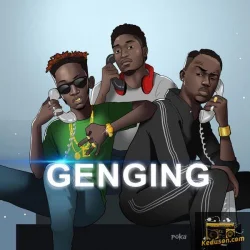 Mr Eazi - Genging