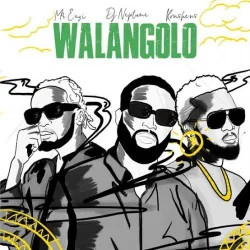 Mr Eazi - Walangolo (feat. Koshens)