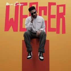 Mr Eazi - Werser