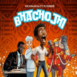 Mr Mwanya - Bhachojhi (feat. Plumber)