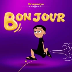 Mr Mwanya - Bonjour L