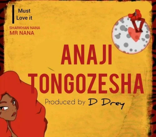 Mr Nana - Anajitongozesha