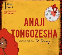 Mr Nana - Anajitongozesha