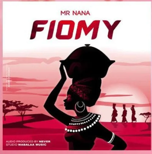 Mr Nana - Fiomy