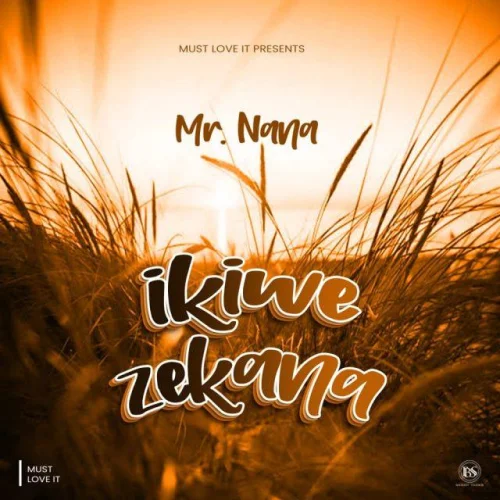 Mr Nana - Ikiwezekana