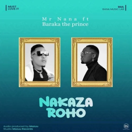 Mr Nana - Nakaza Roho (feat. Barakah The Prince)