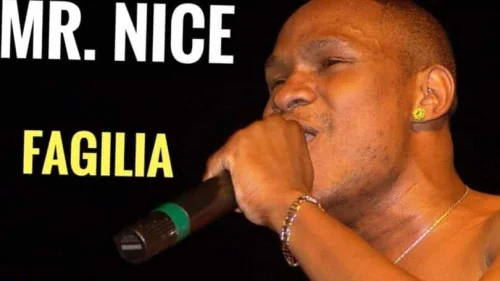 Mr Nice - Fagilia