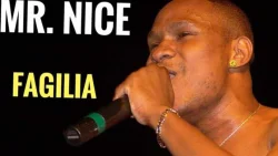 Mr Nice - Fagilia