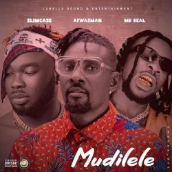 Mr Real - Mudilele Remix (feat. Slimcase)