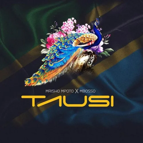 Mrisho Mpoto - Tausi (feat. Mbosso)