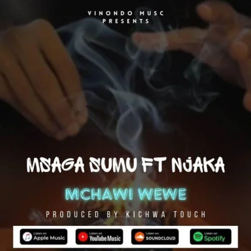 Msaga Sumu - Mchawi Wewe (feat. Njaka)