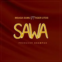 Msaga Sumu - Sawa (feat. Tiger Utos)